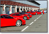 SPORT & COLLECTION 2004