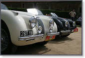 SPORT & COLLECTION 2005