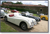 SPORT & COLLECTION 2005