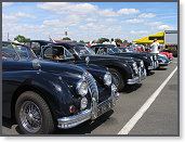 SPORT & COLLECTION 2005