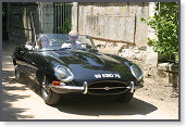 SPORT & COLLECTION 2006