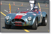 AC Cobra, Hitchins/Van Den Doorn