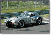 AC Cobra, Stahl/Ottenburger