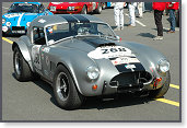 AC Cobra, Stahl/Ottenburger