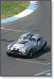 AC Cobra, Stahl/Ottenburger