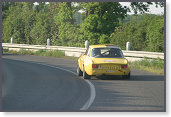 Alfa Romeo 2000 GTAm, Fitzsimons/Tolich